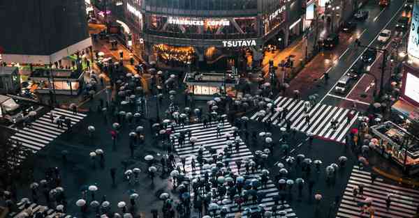 属猴2024年9月28日运势,属猴人2024年9月28日财运,生肖猴2024年9月28日运势